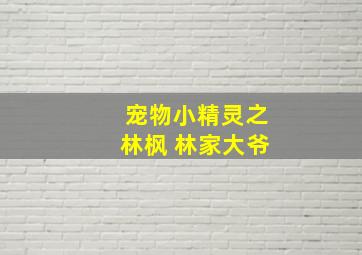 宠物小精灵之林枫 林家大爷